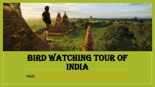 Bird Watching Tour of India