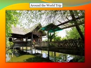Around the World Trip