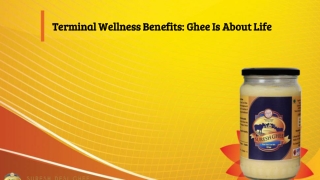 Terminal Wellness Benefits: Desi Cow Ghee Is About Life