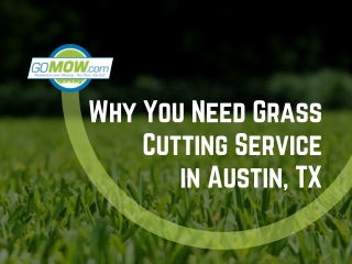 Why you need a Grass Cutting Service in Austin, TX