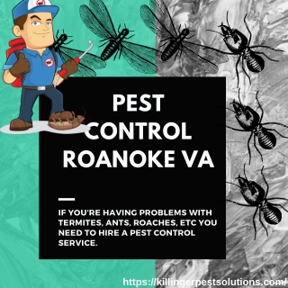 Pest Control Roanoke VA | Killinger Pest Solutions