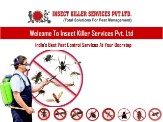 Get Rid Of Pest Now !!