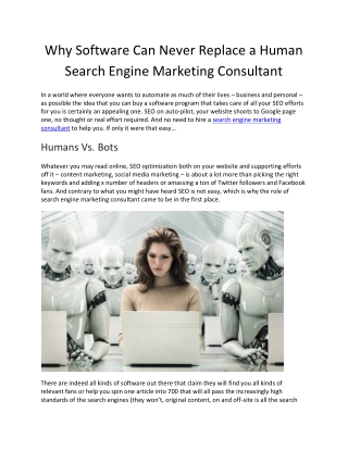 Why Software Can Never Replace a Human Search Engine Marketing Consultant - Deepak Shukla