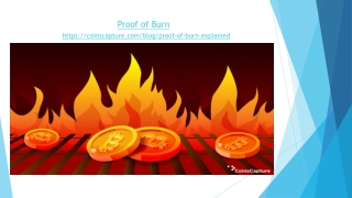 Proof of Burn | Coinscapture