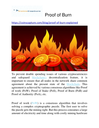 Proof of Burn | Coinscapture