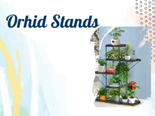 Get best orchid stand shop from Green Barn Orchid Supplies