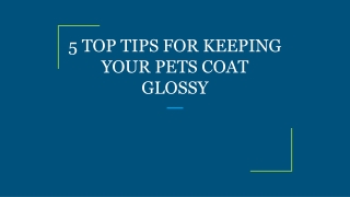 5 TOP TIPS FOR KEEPING YOUR PETS COAT GLOSSY