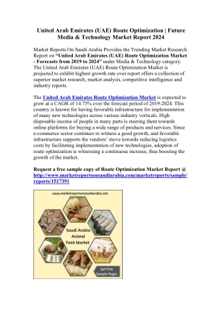 United Arab Emirates (UAE) Route Optimization | Future Media & Technology Market Report 2024