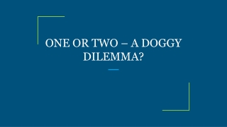 ONE OR TWO – A DOGGY DILEMMA?