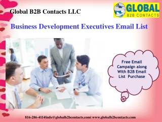 Business development executives email list