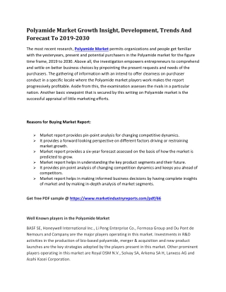 Polyamide Market Growth Insight, Development, Trends And Forecast To 2019-2030