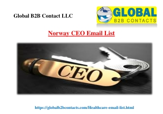 Norway CEO Email List