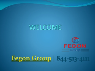 Fegon Group | Network Security Solutions | 8445134111