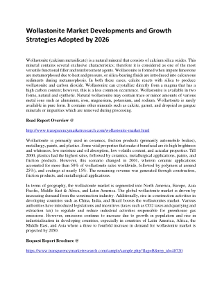 Wollastonite Market Developments and Growth Strategies Adopted by 2026