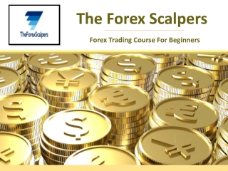 Forex Trading Training - The Forex Scalpers