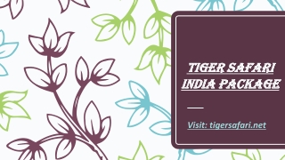 Tiger safari India package