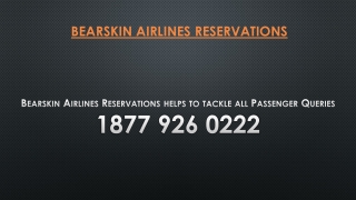 Bearskin Airlines Reservations helps to tackle all Passenger Queries