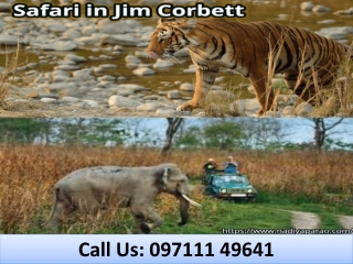 Safari in Jim Corbett