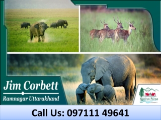 Jim Corbett Ramnagar Uttarakhand