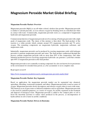 Magnesium Peroxide Market Global Briefing