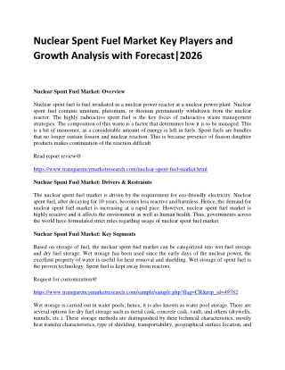 Nuclear Spent Fuel Market Key Players and Growth Analysis with Forecast|2026