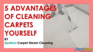 5 Advantages of Cleaning Carpets Yourself