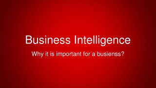 Business Intelligence Solutions Company