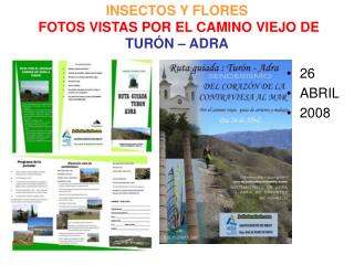 INSECTOS Y FLORES FOTOS VISTAS POR EL CAMINO VIEJO DE TURÓN – ADRA
