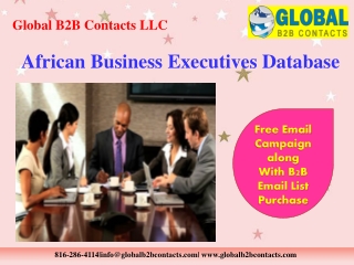 African Business Executives Database