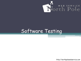 Software Testing