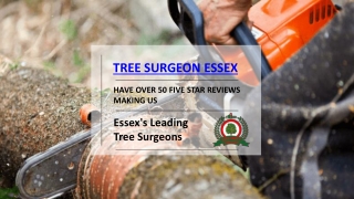 Tree Surgeon Essex | Tree Surgery Essex | Valiant Arborist