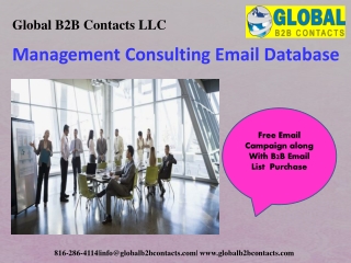 Management Consulting Email Database