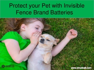 Protect your Pet with Invisible Fence Brand Batteries