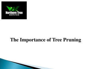 The Importance of Tree Pruning