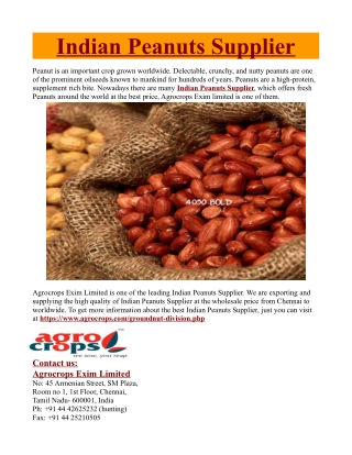 Indian Peanuts Supplier