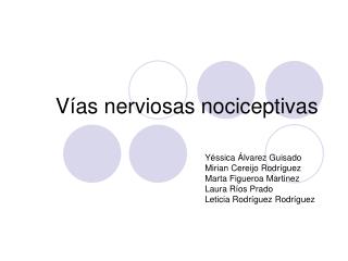 Vías nerviosas nociceptivas