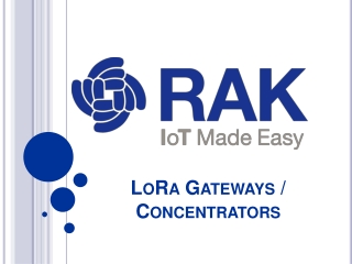 Rak LoRa Gateways Concentrators