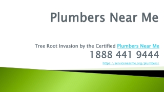 Tree Root Invasion by the Certified Plumbers Near Me
