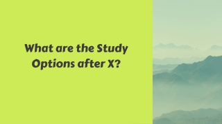 What are the Study Options after X?