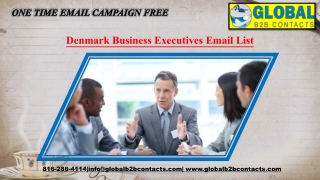 Denmark Business Executives Email List