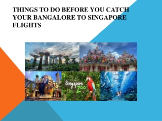 Things To Do Before You Catch Your Bangalore To Singapore Flights