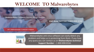 Malwarebytes Helpline Number – 1-800-898-8164