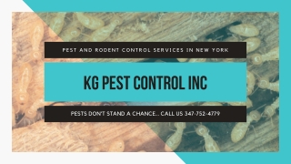 Get Pest Control Services