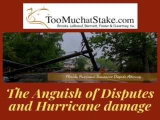 Discover the lawyers of Disputes and Hurricane Damage in your city