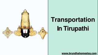 3 Best Ways to Travel From Tirupati to Tirumala