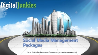 Social Media Management Packages - Digital Junkies