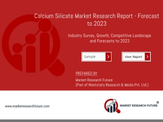 Calcium Silicate Market 2019 | Global Industry Share, Segments & Key Drivers, 2023
