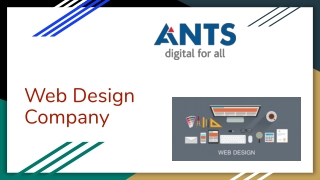 Best And Responsive Web Design Company | ANTS Digital