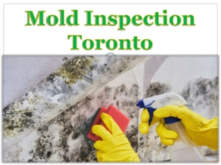 Mold Inspection Toronto