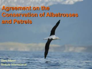 Agreement on the Conservation of Albatrosses and Petrels